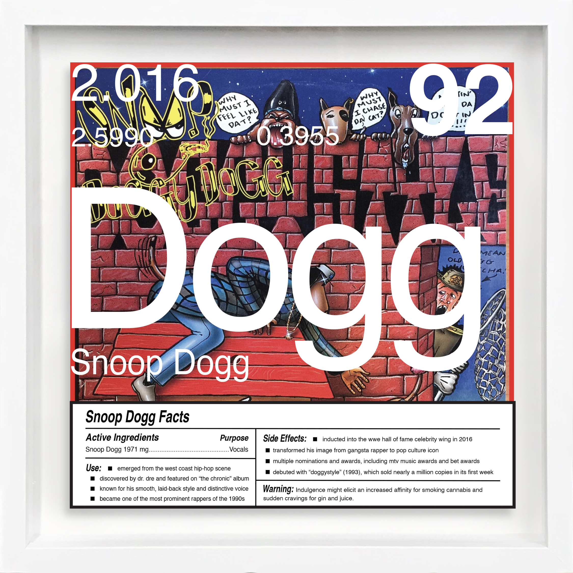 Snoop Dogg artwork